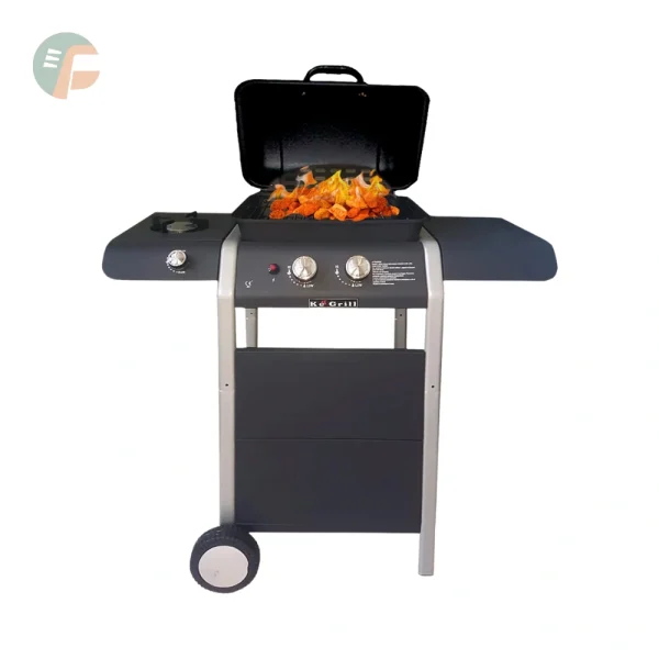 barbecue a gas con pietra lavica a miglior prezzo Ke Grill KE601 Gorodn Burner