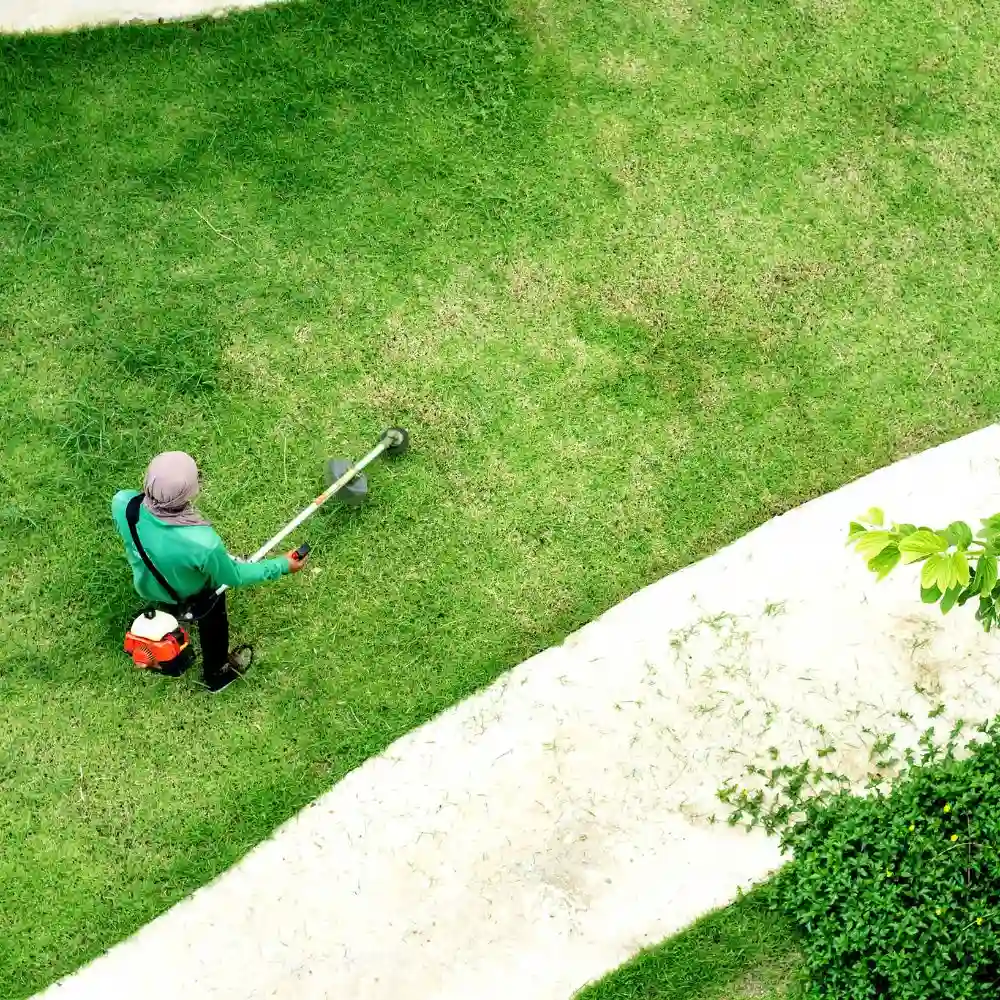 Per la cura del tuo giardino, il Tosaerba: un attrezzo? Un lavoro? Un hobby? Una passione sempreverde!