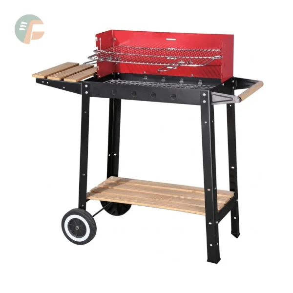 Barbecue a Carbone XZ02D