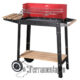 Barbecue a Carbone XZ02D