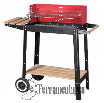 Barbecue a Carbone XZ02D